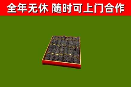 鹤山市回收海参